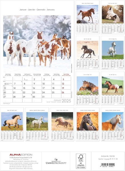 Pferde Wandkalender